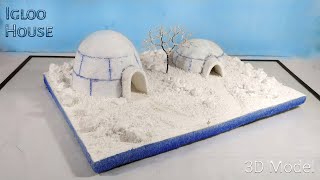 How To Make Show Area IGLOO House School Project  3D Igloo project [upl. by Llirret]