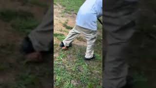 Cutting dirt like a pro with a lawnmower🤣🤣🤣🤣 cuttingseason stump cleancuts nomachine endpin [upl. by Oirramaj]