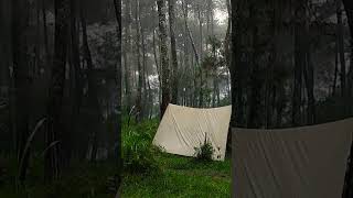 CAMPING HAMMOCK IN HEAVY RAIN AND THUNDERSTORMS RELAXING RAIN SOUND solocamping camping [upl. by Nnaitak754]