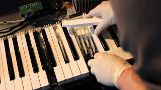 Reparatur Digital Piano Roland HP2800 Key Repair of a Digital Piano [upl. by Carmelle]