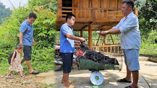 Sell piglets to tradersBuy iron mesh to fence around the chicken coop XuanTruong [upl. by Smoot]