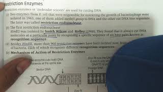 Restriction enzyme class 12 biotechnology [upl. by Enawtna270]