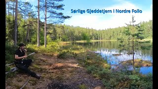 Sørlige Gjeddetjern leirplass i Nordre Follo  Insta360 X3 [upl. by Ninel]