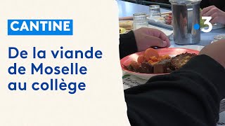 Thionville  de la viande de Moselle à la cantine [upl. by Kcirdlek]