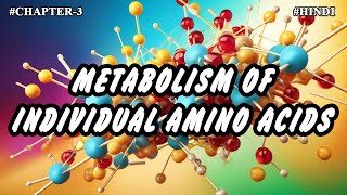 Chapter  3  Metabolism Of Individual Amino Acids Part3  Hindi [upl. by Negrom]