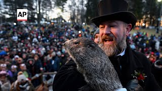 Punxsutawney Phil predicts early spring on Groundhog Day 2024 [upl. by Aifas]