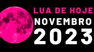 🌙 EM QUE LUA ESTAMOS HOJE NOVEMBRO 2023 [upl. by Hollingsworth]