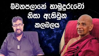 Meewanapalane Siri Dammalankara  මීවනපළානේ සිරි ධම්මාලංකාර හිමි [upl. by Winzler]