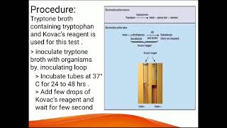 Indole TestExplained in urdu [upl. by Tertius]