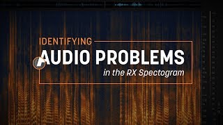 Identifying Audio Problems in the RX Spectrogram [upl. by Liana]