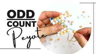 Odd Count Basic Peyote Stitch  Beginners Tutorial  Using BIG BEADS [upl. by Handy]