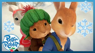 OfficialPeterRabbit  🎉 Wonderful New Friends 🐰🐱🐿️🐷🐢🐰 ❄️  NewYear Special 🎉  Cartoons for Kids [upl. by Bonita779]