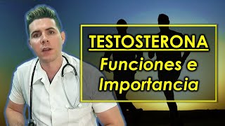 ¿Qué es la Testosterona Funciones e importancia de la testosterona [upl. by Slavin]