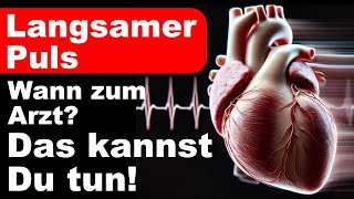 Langsamer Puls  Das kannst du tun  Wann zum Arzt  Ursachen amp Behandlung [upl. by Ahsyle]