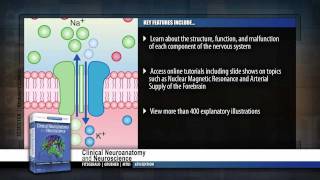 Clinical Neuroanatomy and Neuroscience 6th Edition [upl. by Matti]