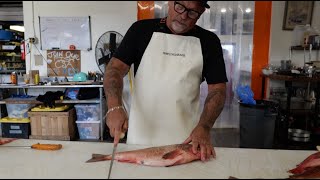 How to fillet a Rockfish [upl. by Acinnad]