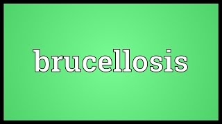 Brucellosis Meaning [upl. by Adnuhsar]