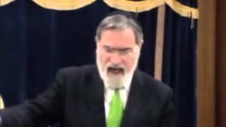 The Hidden Story of Chanukah  Rabbi Jonathan Sacks [upl. by Ogg]