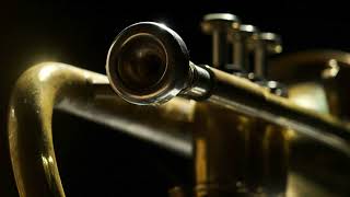 Trumpet Voluntary in D Major [upl. by Dudden338]