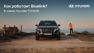 Как работает система Bluelink на новом Hyundai TUCSON [upl. by Rafaelle209]