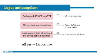 Antiphospholipid syndrome for medical student [upl. by Sprage721]