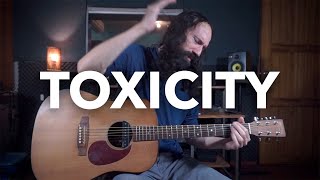 Toxicity  SYSTEM OF A DOWN  Acoustic Guitar Cover [upl. by Plafker581]