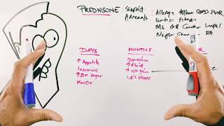 Most Common Prednisone Side Effects  Short Term and Long Term and Solutions  Corticosteroids [upl. by Kathleen]