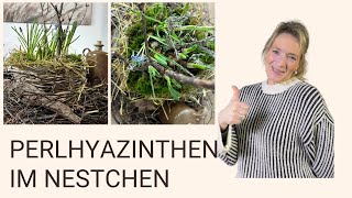 DIY Frühlingsdeko 💚 Nestchen mit Perlhyazinthen und Naturmaterialien für den perfekten Frühling [upl. by Melisenda]