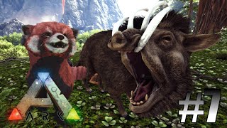 ARK Another World 7  Wir besuchen die Vulkan Insel  LP Ark Deutsch [upl. by Sosanna]