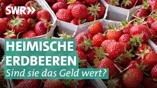 Erdbeeren – sind die teuren deutschen wirklich besser  Marktcheck SWR [upl. by Mile]