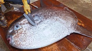 Amazing！Various Seafood Catching Fish Cutting Skills Collection  最驚奇的！各種海鮮捕捉過程 魚的切割技海鮮大合集 [upl. by Nylloh]