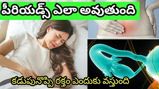 What is periods in Telugu Periods Telugu Menstruation  Bmc facts  Telugu [upl. by O'Hara]