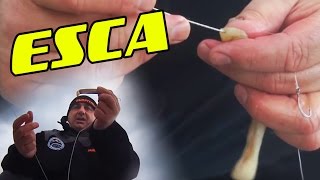 Come INNESCARE il CANNOLICCHIO  SPESCIALE PESCA A SURFCASTING [upl. by Htiffirg]