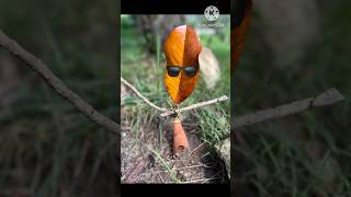 Just some insects shorts bug nature insects funny edit calm viral [upl. by Nyberg952]