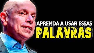 Aprenda a Evitar Conflitos  Leandro Karnal Motivação [upl. by Shiller]