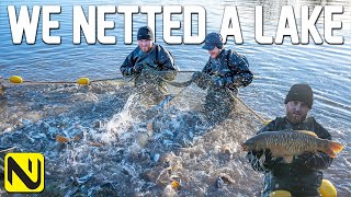 We Netted A Carp Fishery  An INSANE Amount Of Fish [upl. by Maurey]