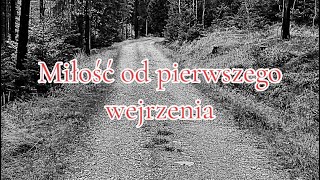 Miłość od pierwszego wejrzenia  Wisława Szymborska [upl. by Ahnavas]