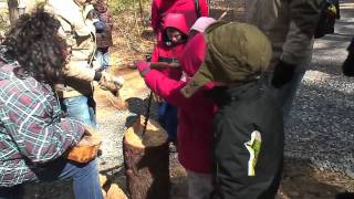 Shavers Creek Maple Harvest Festival From Tree to Table [upl. by Tadeo]