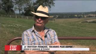 EXTRAIT  Le trotteur français toujours plus rapide  Equidia Live [upl. by Pubilis]