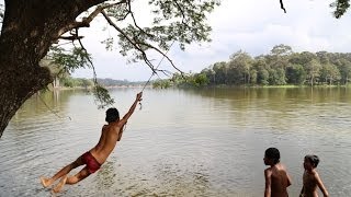 Khmer boys playing in Angkor Wat moat water canal  Siem Reap Cambodia [upl. by Nahraf]