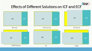 Understanding Fluid Use in the ICU [upl. by Suired]