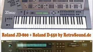 Roland JD800  Roland D550 D50 Rack [upl. by Marlea]