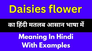 Daisies flower meaning in HindiDaisies flower का अर्थ या मतलब क्या होता है [upl. by Nwadahs]