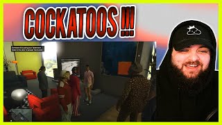 Vanoss Crew Carlos and Cockatoos Compilation Reaction [upl. by Bobker]