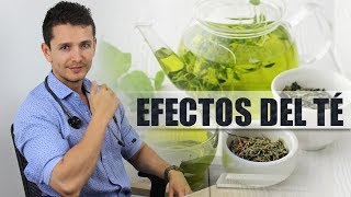 ☕EFECTOS DEL TÉ EN TU CUERPO  Que le pasa a tu cuerpo cuando tomas TÉ 🔬 [upl. by Nyraa]