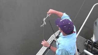 How to Remove a Hard Head Catfish from your Line [upl. by King]