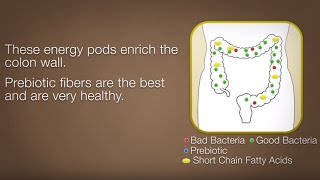 Ulcerative Colitis Management amp Prebiotics [upl. by Hajidak]