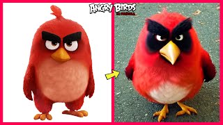 🐦 Angry Birds La Película Vida Real 😱 Estarás Sorprendida [upl. by Quintessa]