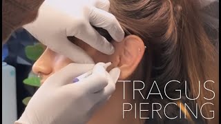 Tragus Piercing Experience  UrbanBodyJewelrycom [upl. by Stoddart]