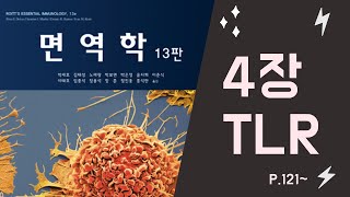 면역학13판 4장 TLR l Toll Like Receptor [upl. by Atilemrac]